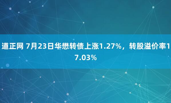 道正网 7月23日华懋转债上涨1.27%，转股溢价率17.03%